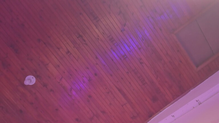 PamelaCullen's Streamate show and profile